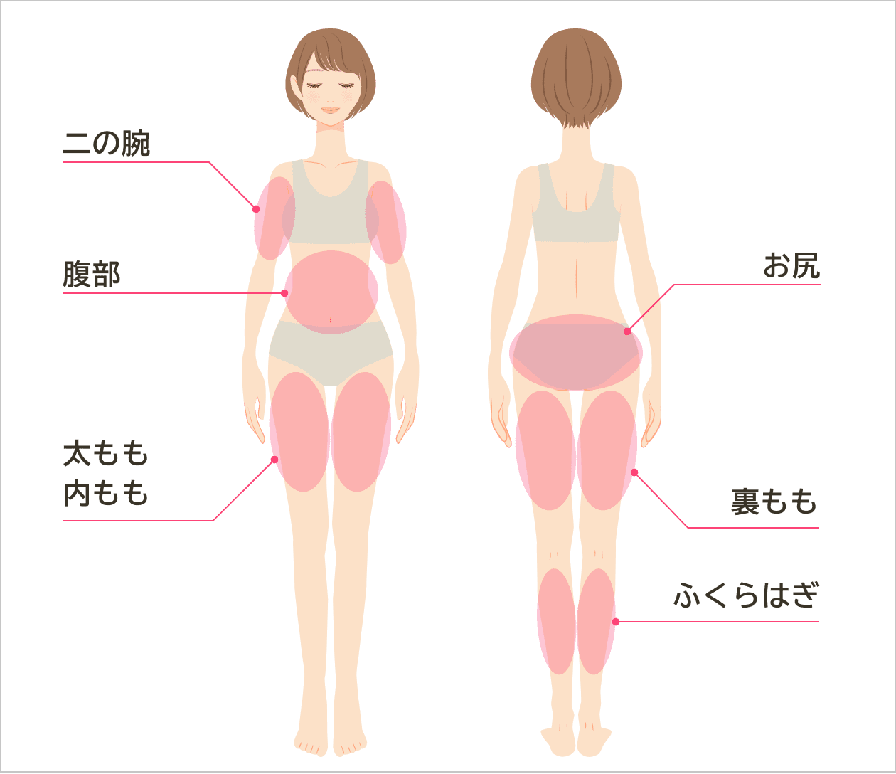 スティムシュアーの対応部位