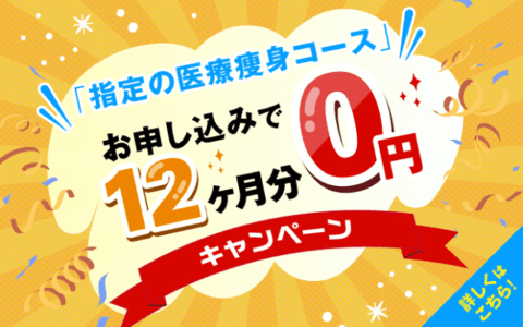 12ヶ月分0円キャンペーン