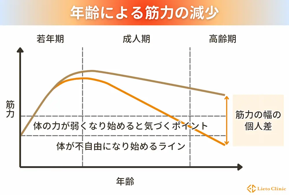 年齢による筋力の減少